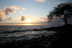 An image of the resort