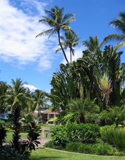 An image of the resort